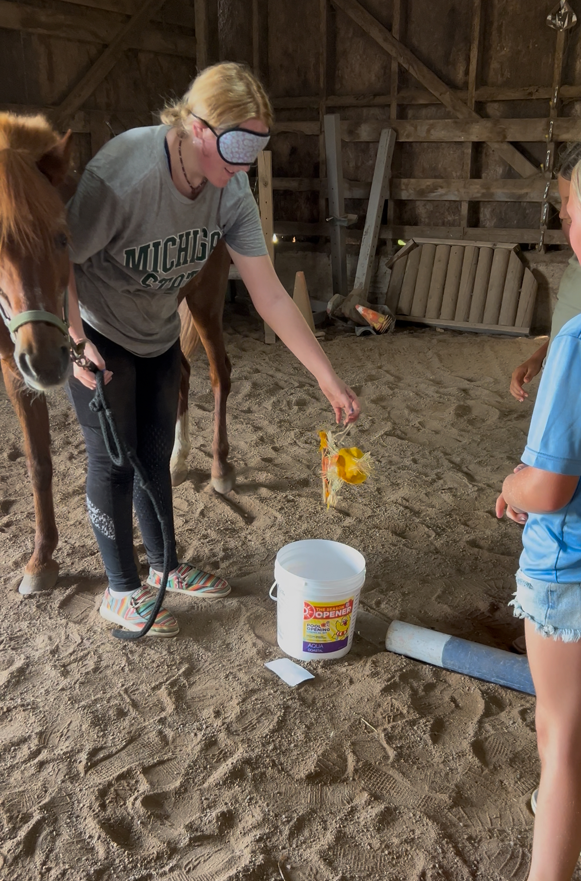 A youth session activity in the arena with a horse